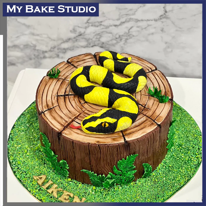 647SnakeCake_1024x1024